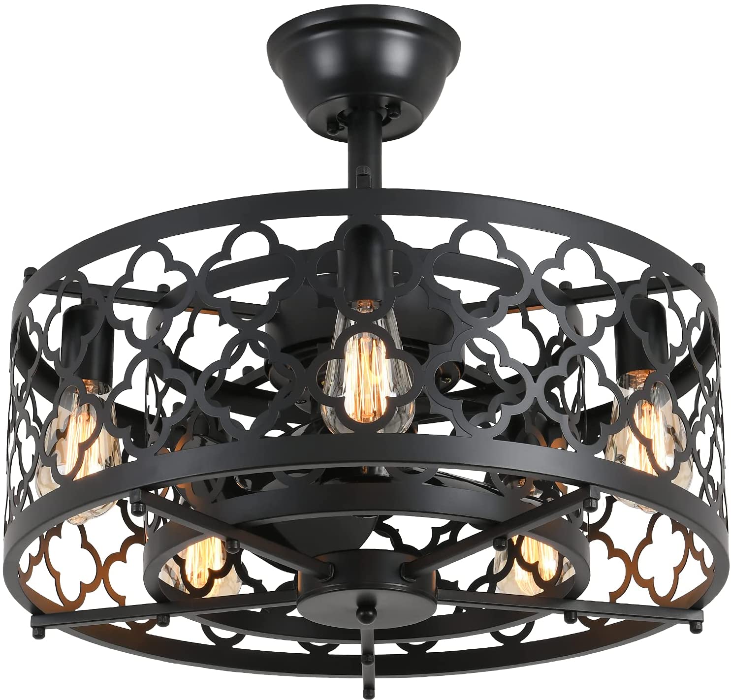 Caged Ceiling Fan with Lights Remote Control 21in industrial